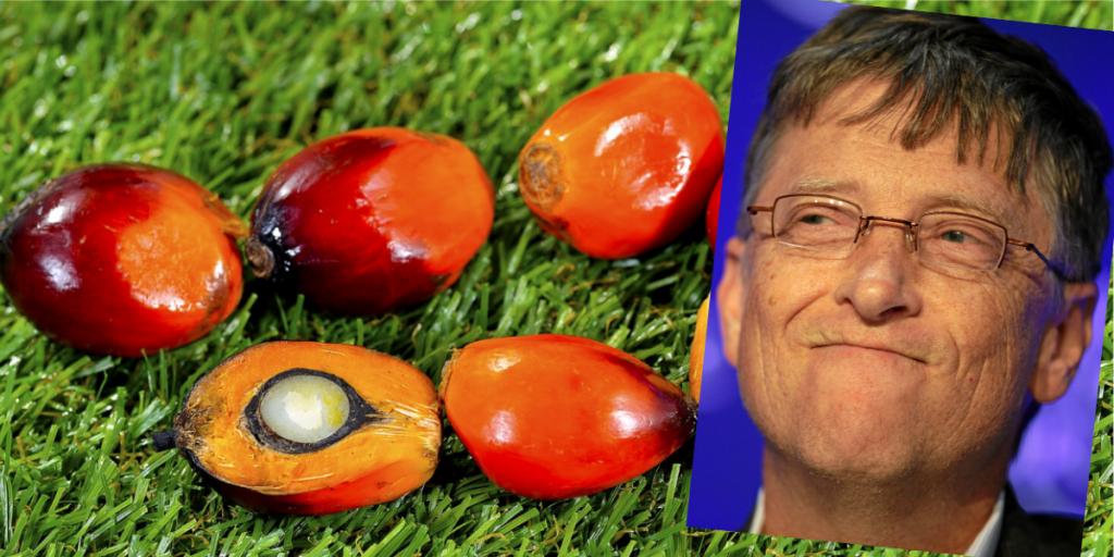 Bill Gates, Jeff Bezos und Mark Zuckerberg investieren in eine synthetische Palmöl-Alternative