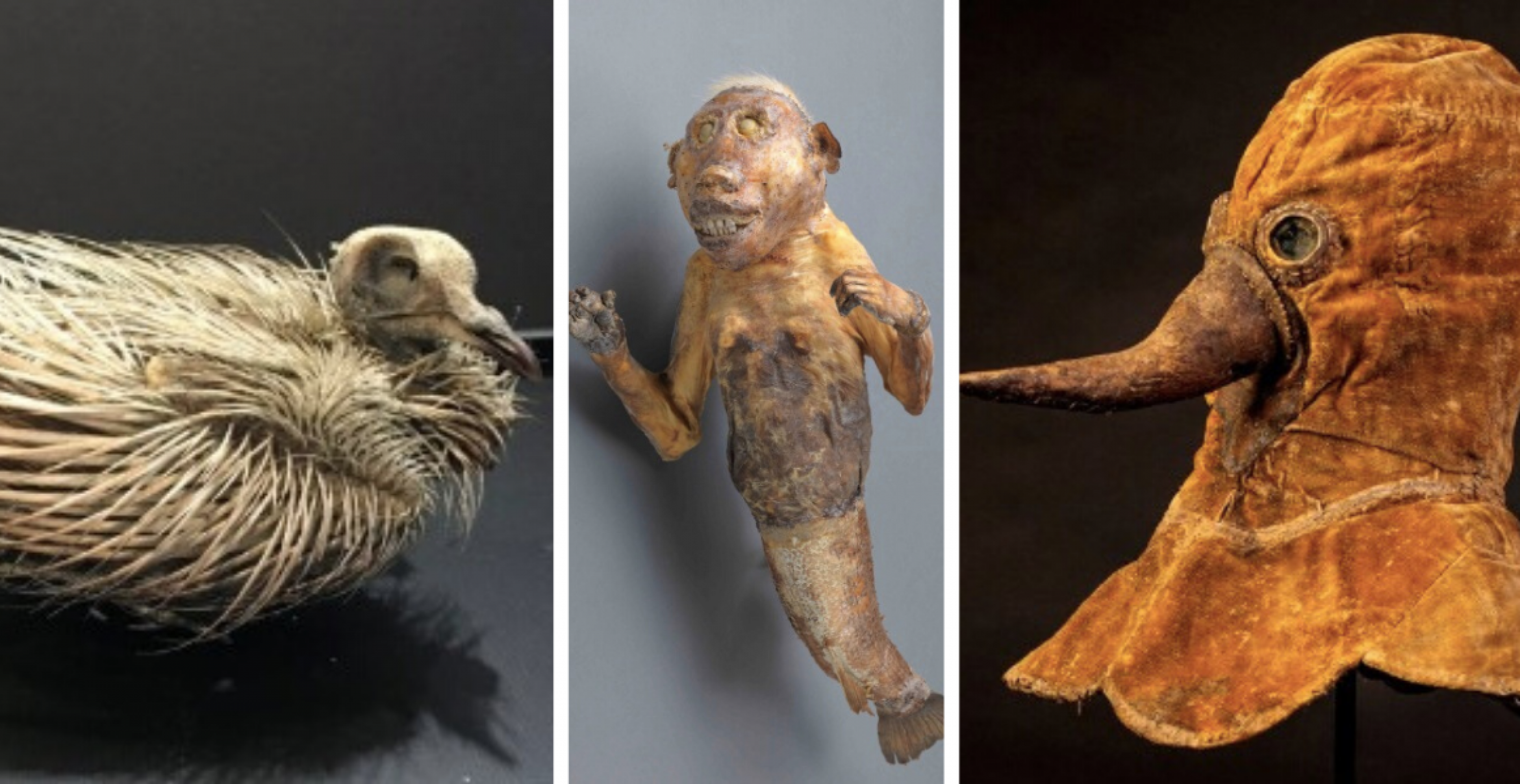 #CuratorBattle: Museen zeigen ihre gruseligsten Stücke
