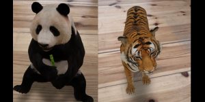 Google AR Tiere
