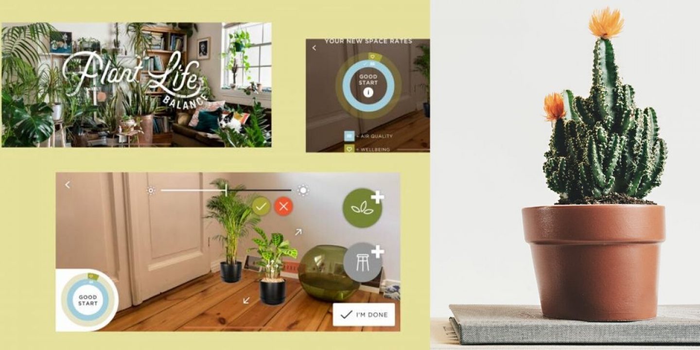 Keinen grünen Daumen? Kein Problem. Diese Apps bessern dein Pflanzen-Know-How auf