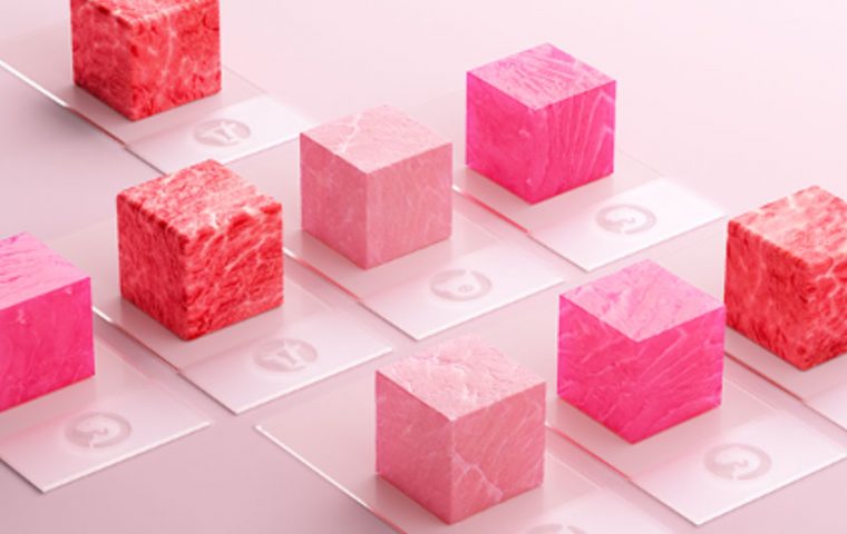 Auf der Suche nach dem Fleisch von morgen