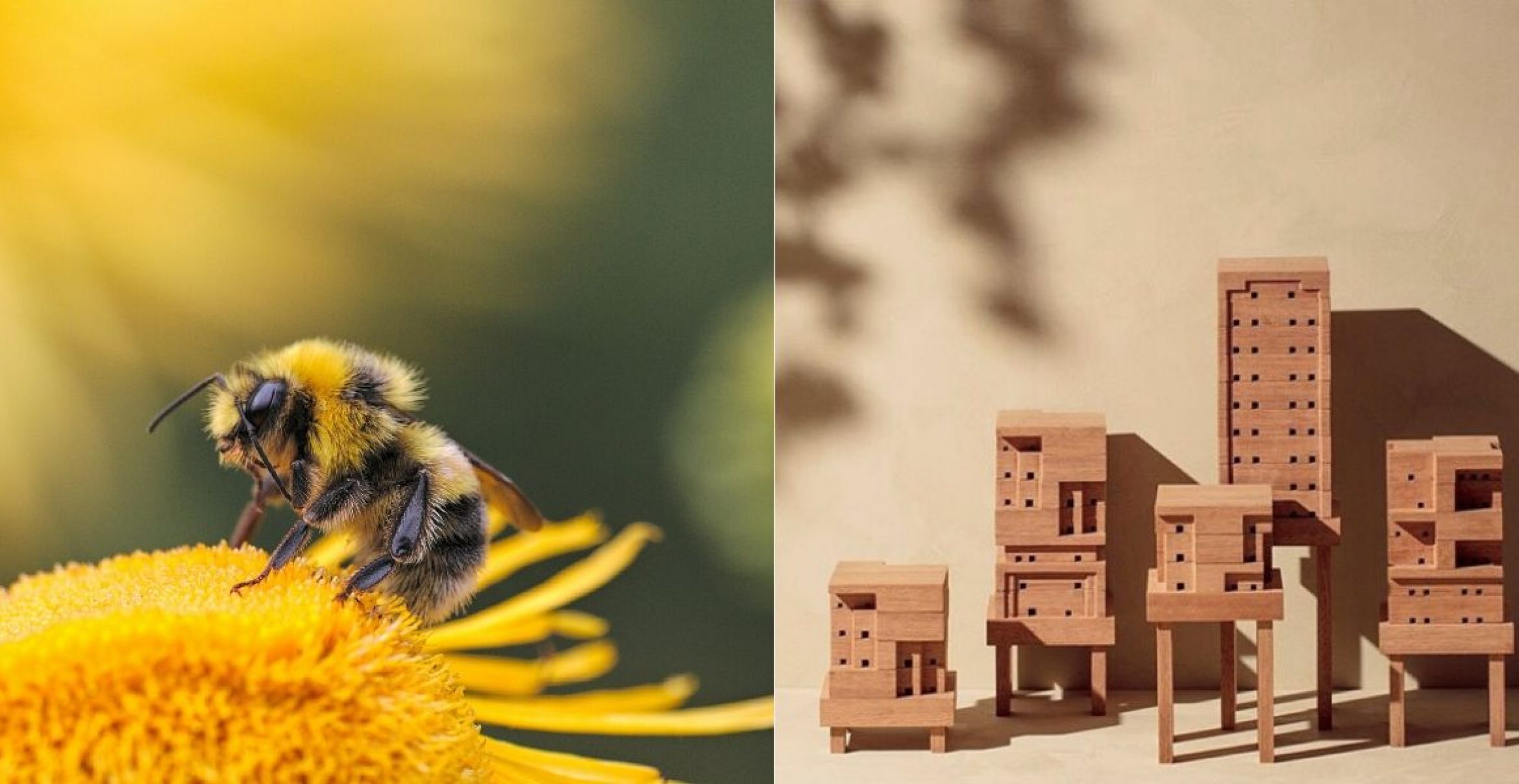 Ein Haus für Bienen designen und bauen – diese Website macht’s möglich