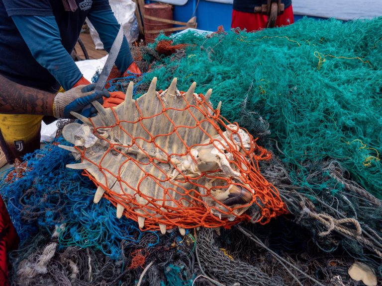 Neuer Rekord: Crew sammelt auf einer Tour 103 Tonnen Plastik aus dem