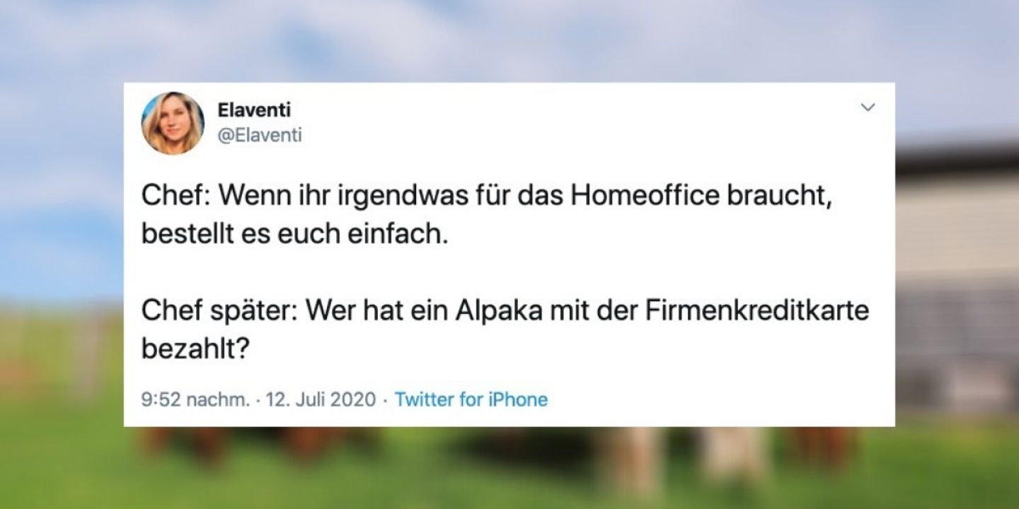 Zehn Tweets, die zeigen: Im Homeoffice geht es verrückter zu als im Büro