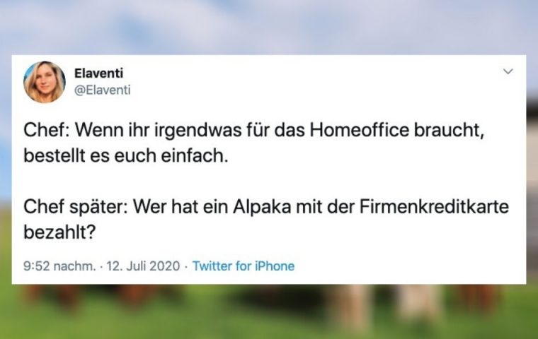 Zehn Tweets, die zeigen: Im Homeoffice geht es verrückter zu als im Büro