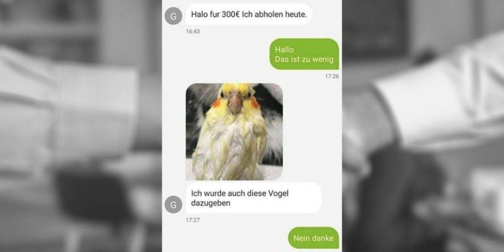 ebay-Kleinanzeigen