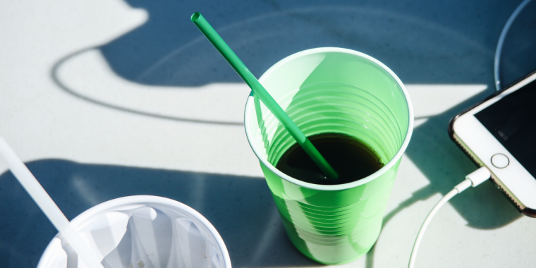 Schildkröten feiern: Verbot von Einwegplastik kommt 2021