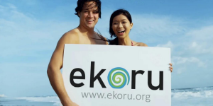 Ekoru Ocean Suchmaschine