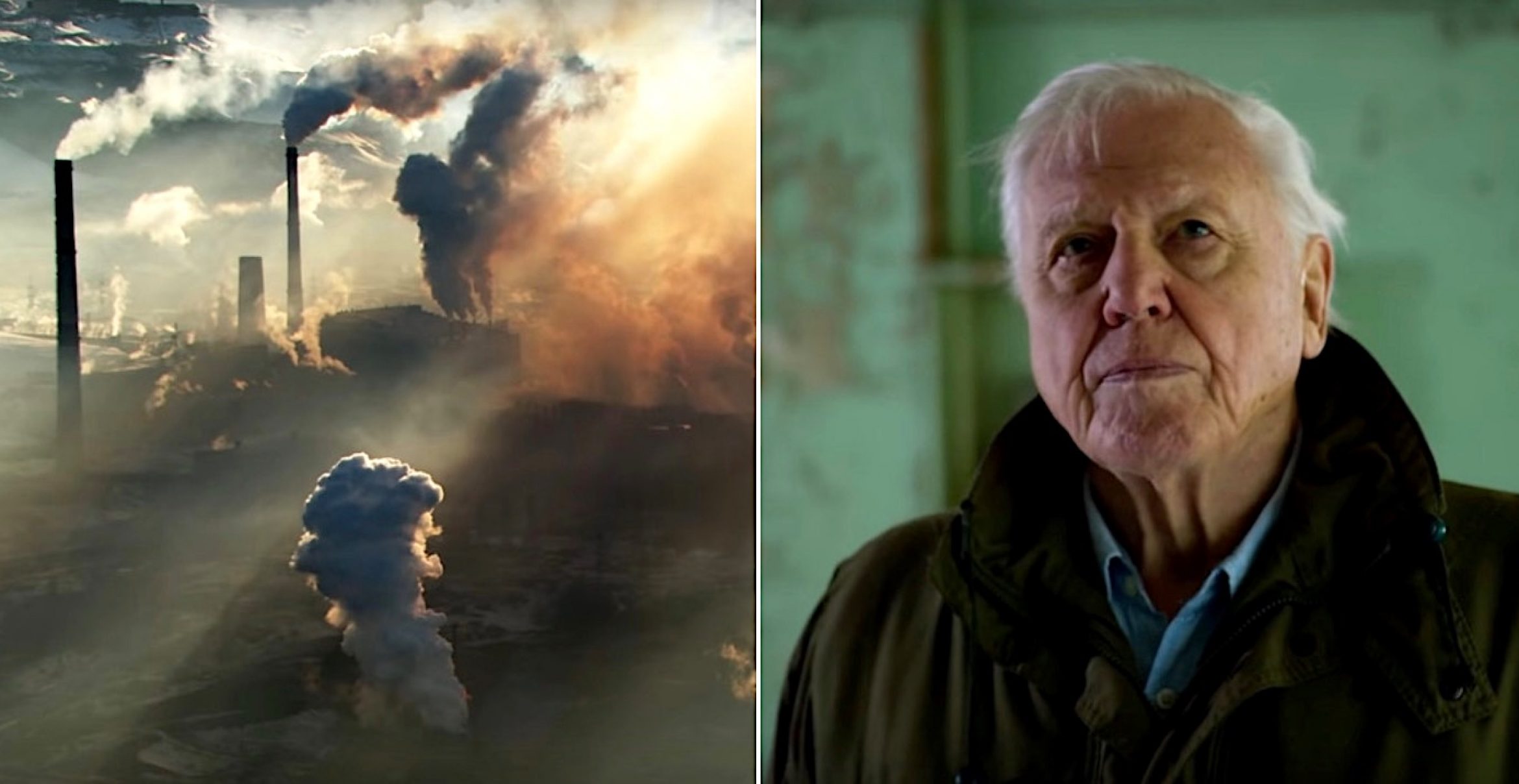 Die neue Netflix-Doku über David Attenborough ist ein bewegender Appell, unsere Erde zu retten