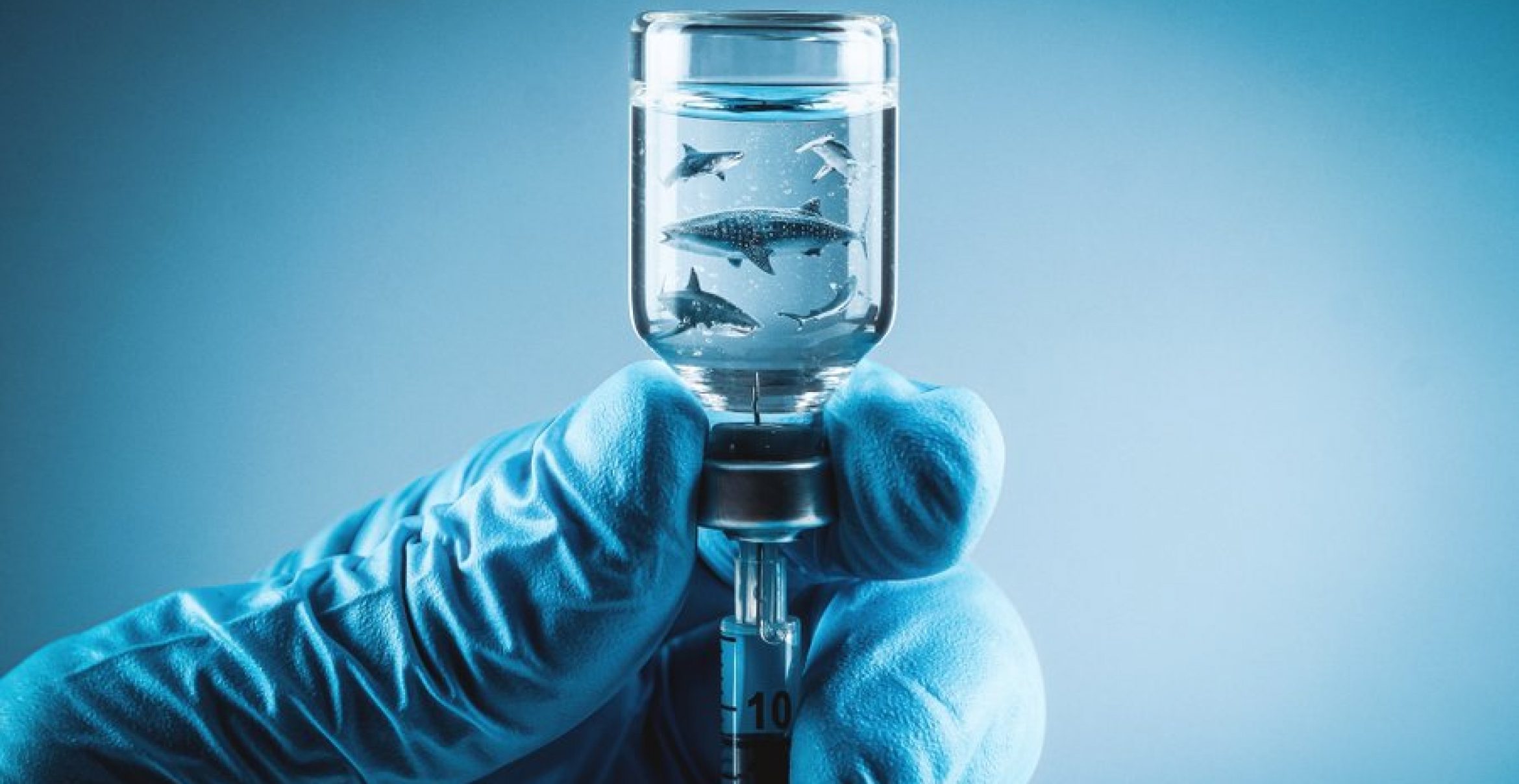 Haie werden für Impfstoffe getötet, doch Grazer Forscher*innen entdecken Alternative