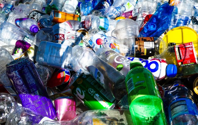 Im Kampf gegen die Plastikflut: Neues Wunder-Bakterium soll Kunststoff schneller zerlegen können