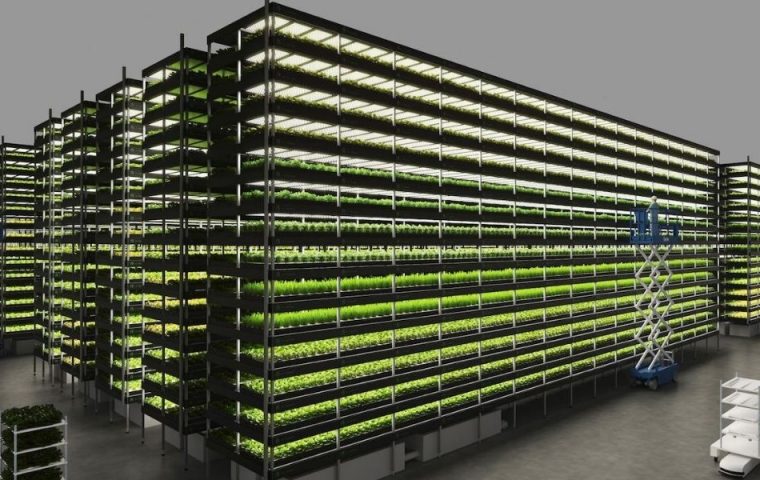 In Dänemark entsteht eine riesige Vertical Farm