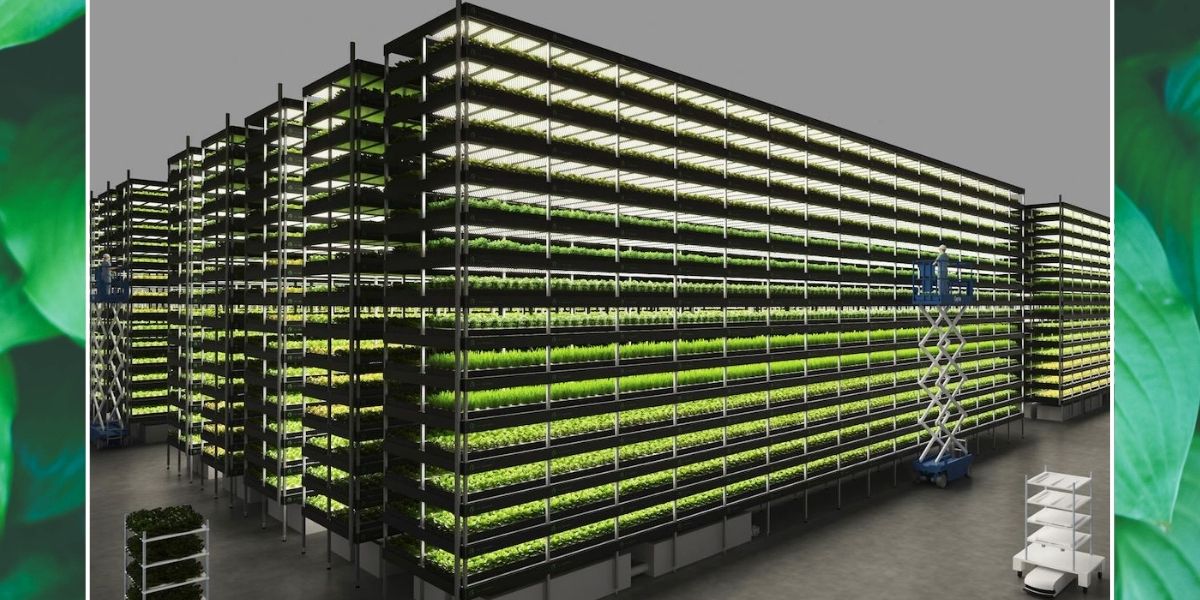 In Dänemark entsteht eine riesige Vertical Farm