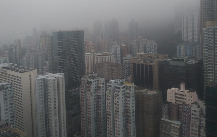 Anthropogene Masse schwerer als alle Lebewesen