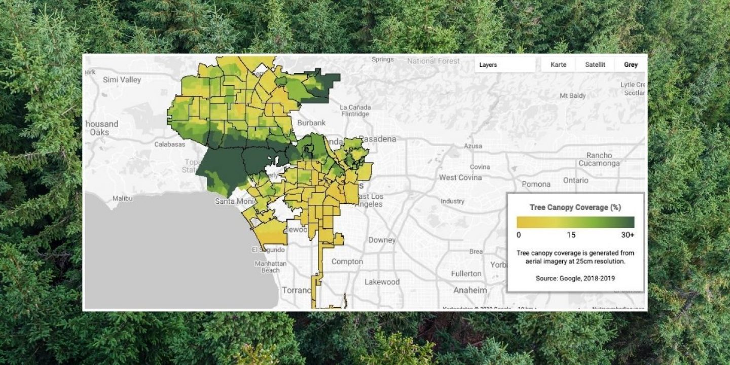 Googles „Baumkronenlabor“ weiß, wohin Bäume in Städten gepflanzt werden müssen