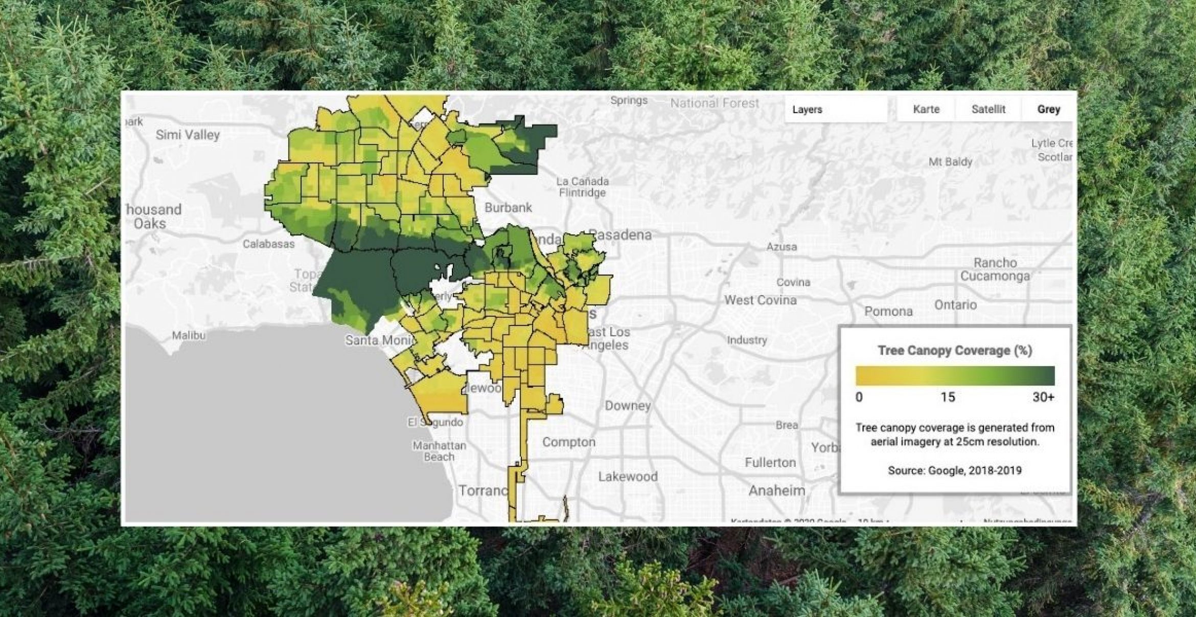 Googles „Baumkronenlabor“ weiß, wohin Bäume in Städten gepflanzt werden müssen