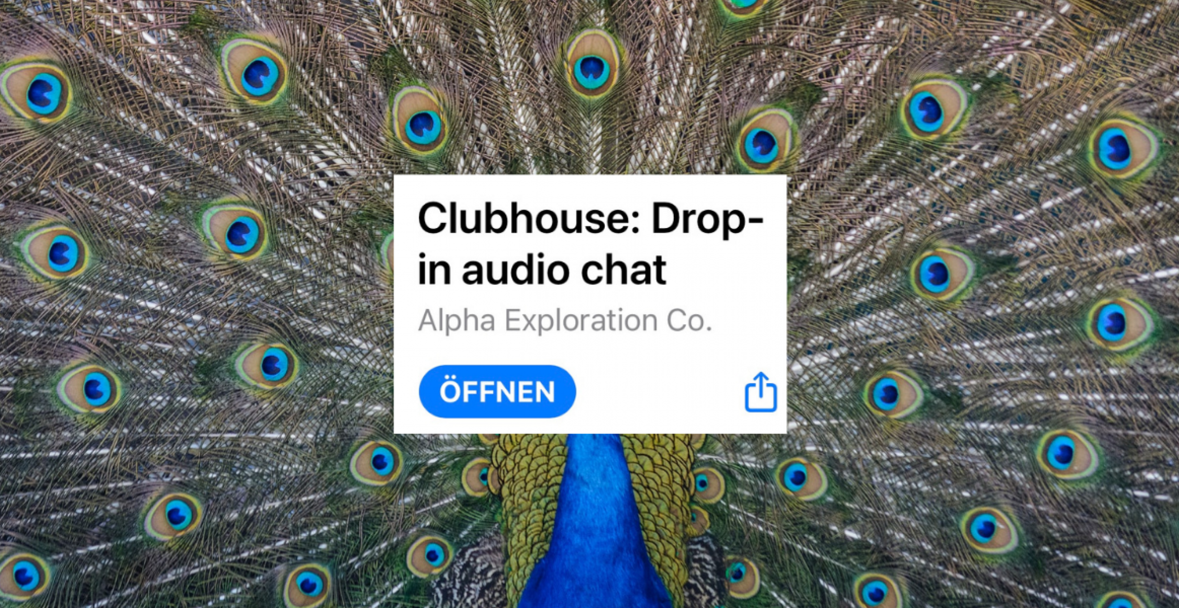 Talks für alle: Clubhouse ist jetzt ohne Einladung zugänglich