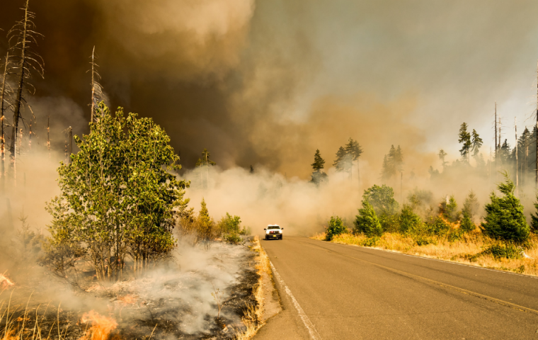 Naturkatastrophen 2020 in Zahlen: Die Munich RE zieht Bilanz