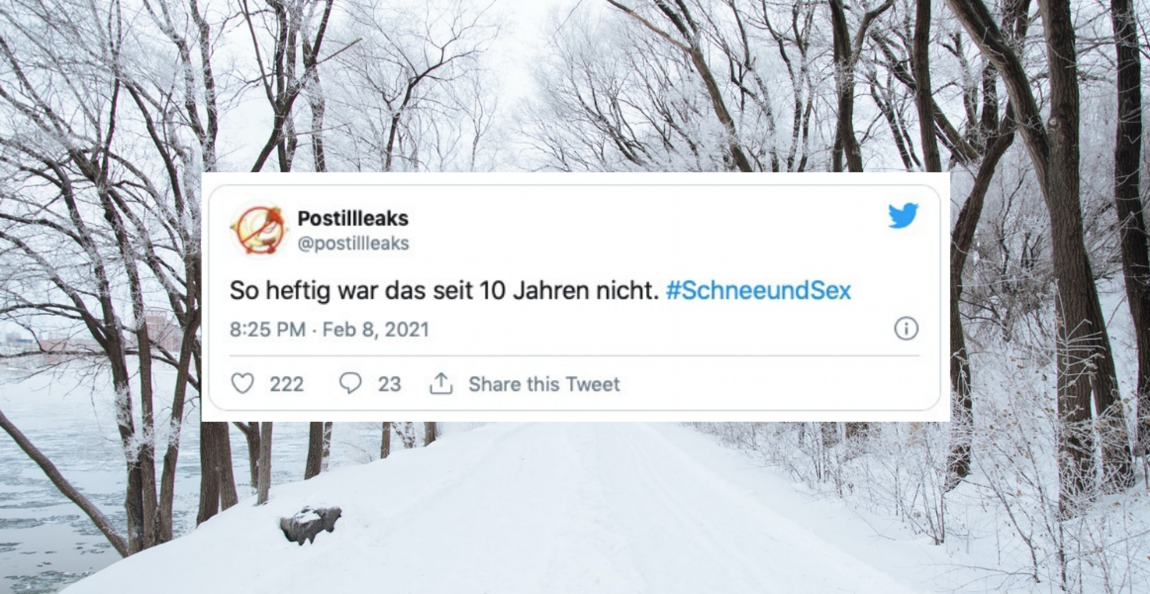 Die besten Tweets zu #SchneeundSex