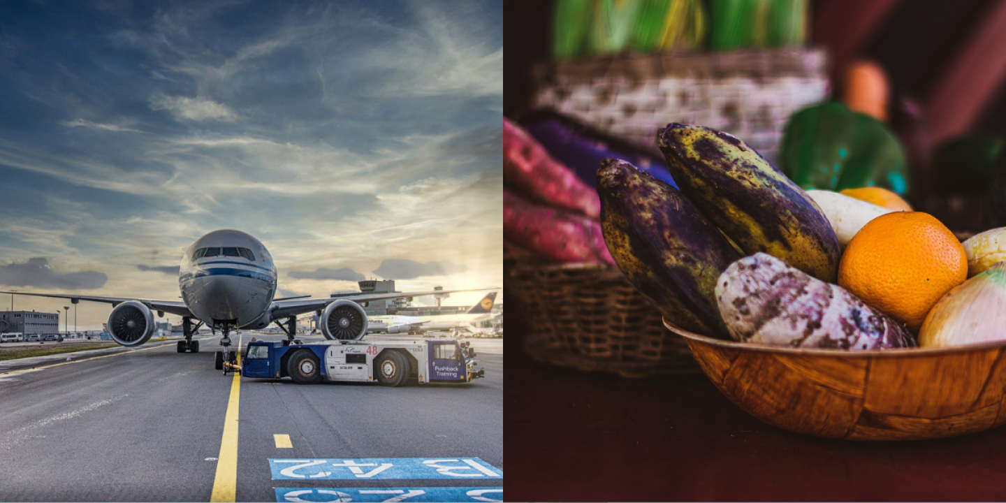 Nachhaltig fliegen? Kraftstoff aus Essensresten könnte das möglich machen