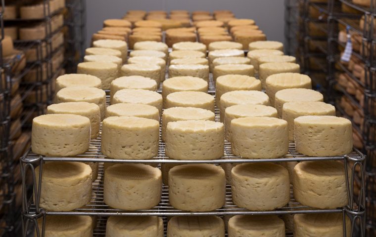 Ein Kloster in Frankreich hat an einem Tag mehr als zwei Tonnen Käse versteigert