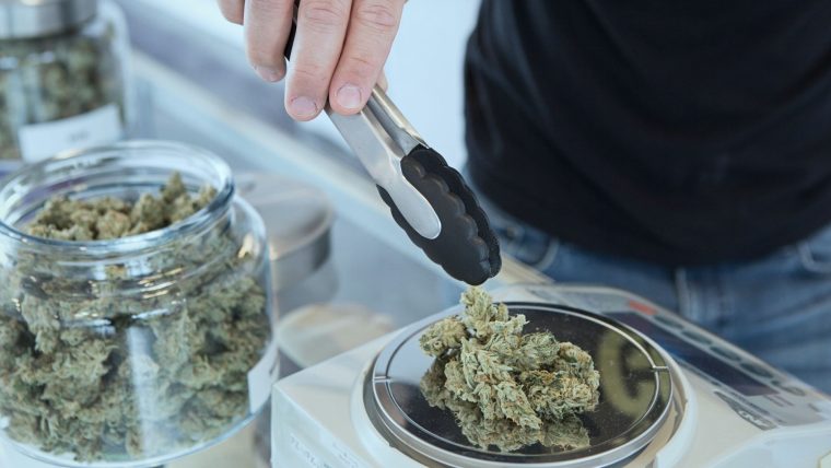 Cannabis als Chance: Wie aus 420 ein Milliardengeschäft wird