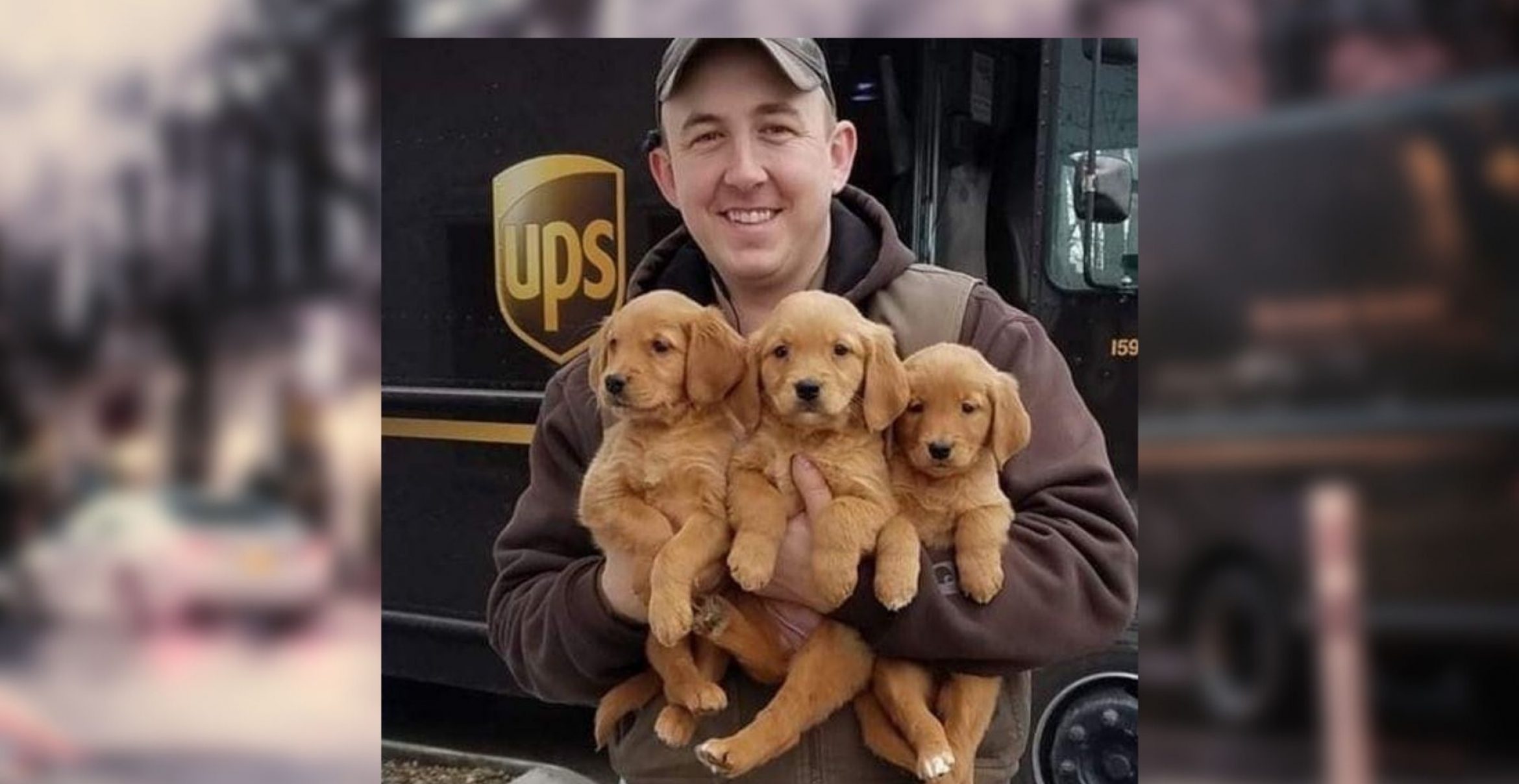 UPS-Dogs zeigen: Hunde lieben Paketbot:innen eben doch