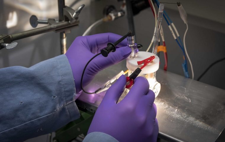 Künstliche Photosynthese: Ja, gibt es schon