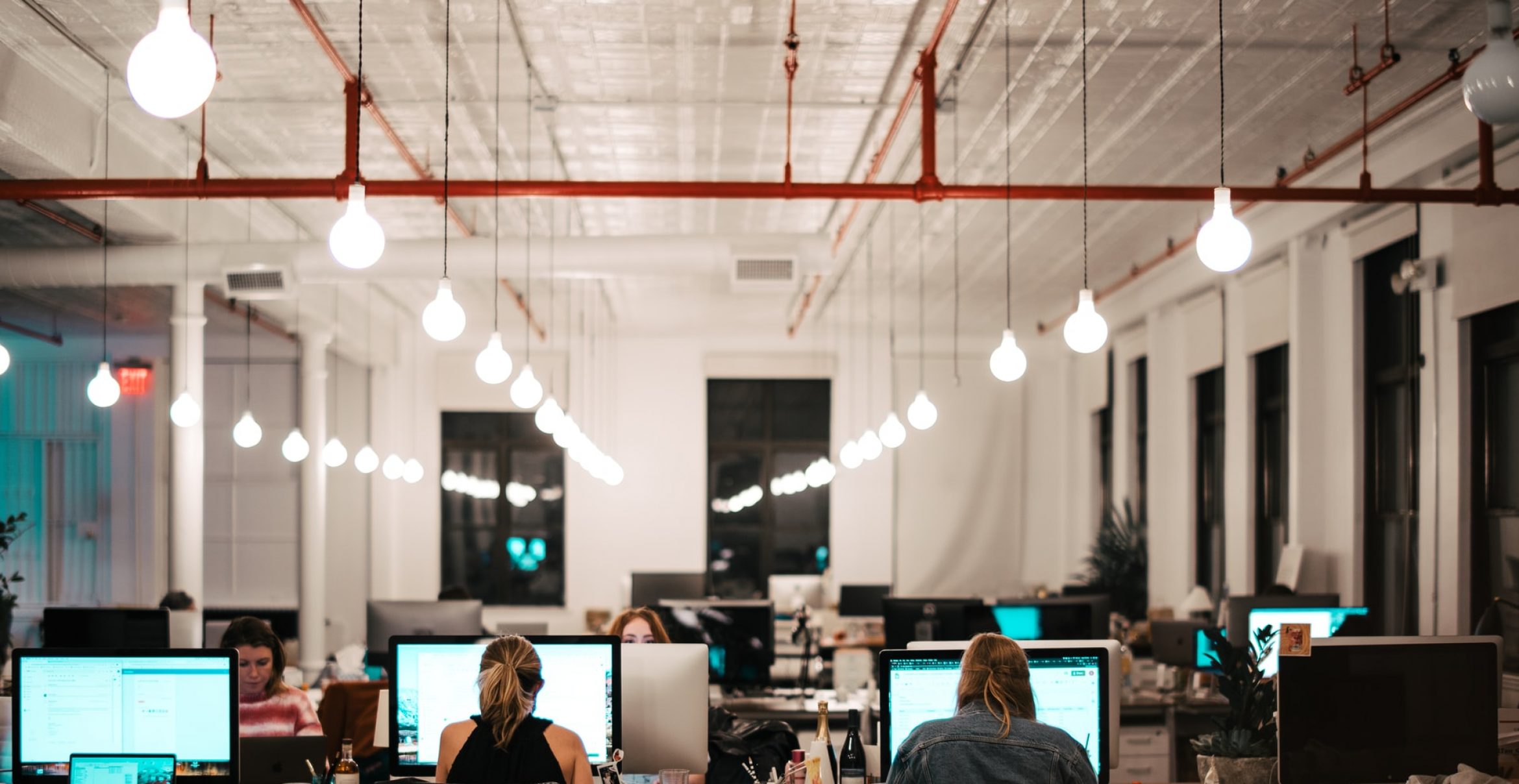 Nachhaltigkeit im Büro: So arbeiten wir in Zukunft klimaneutraler