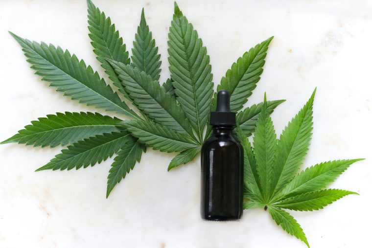 Cannaable: Wie zwei Gründer das Amazon für CBD-Produkte aufbauen