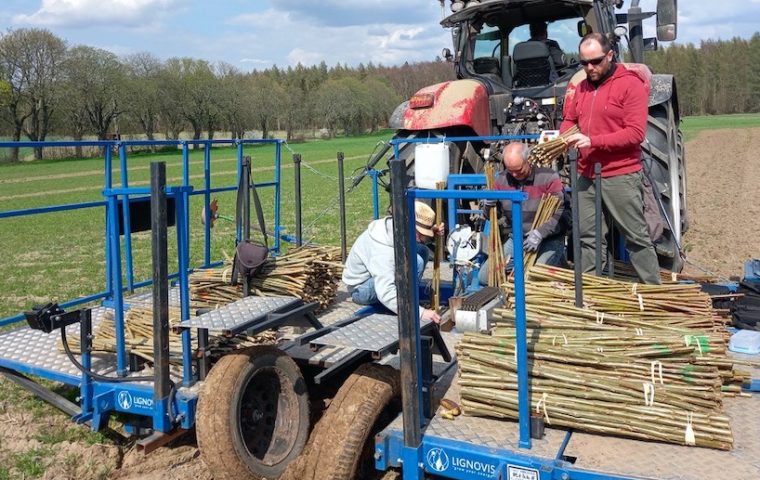 Mit der Baumfeldwirtschaft zur klimagerechten Landnutzung