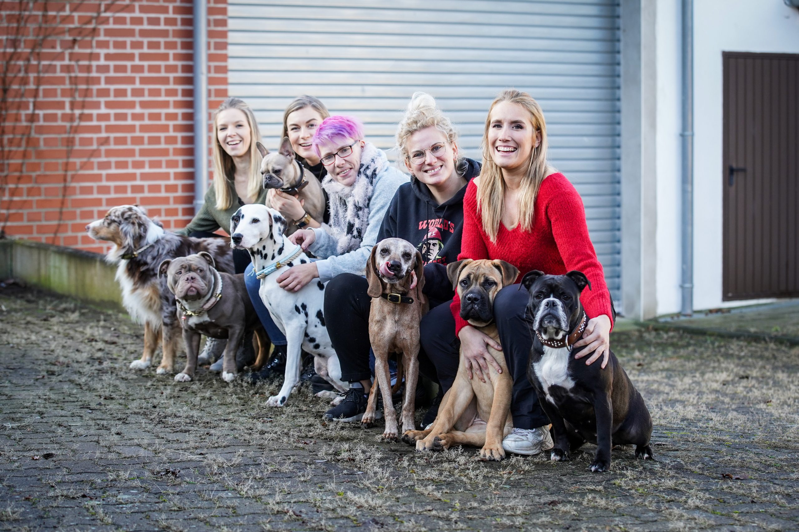 Hunde im Büro? Hier kommen Tipps von der Gründerin des Online-Shops Tierliebhaber