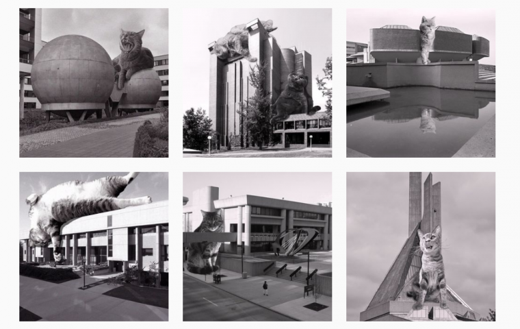 „Cats of Brutalism“: So adorable hast du moderne Architektur noch nie gesehen