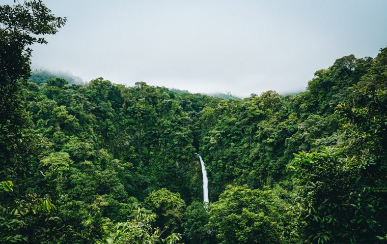 Klimawandel-Leugnung: Keine Werbedollars von Youtube mehr