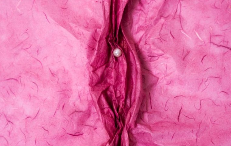 Womanizer investiert in die Erforschung weiblicher Gesundheit