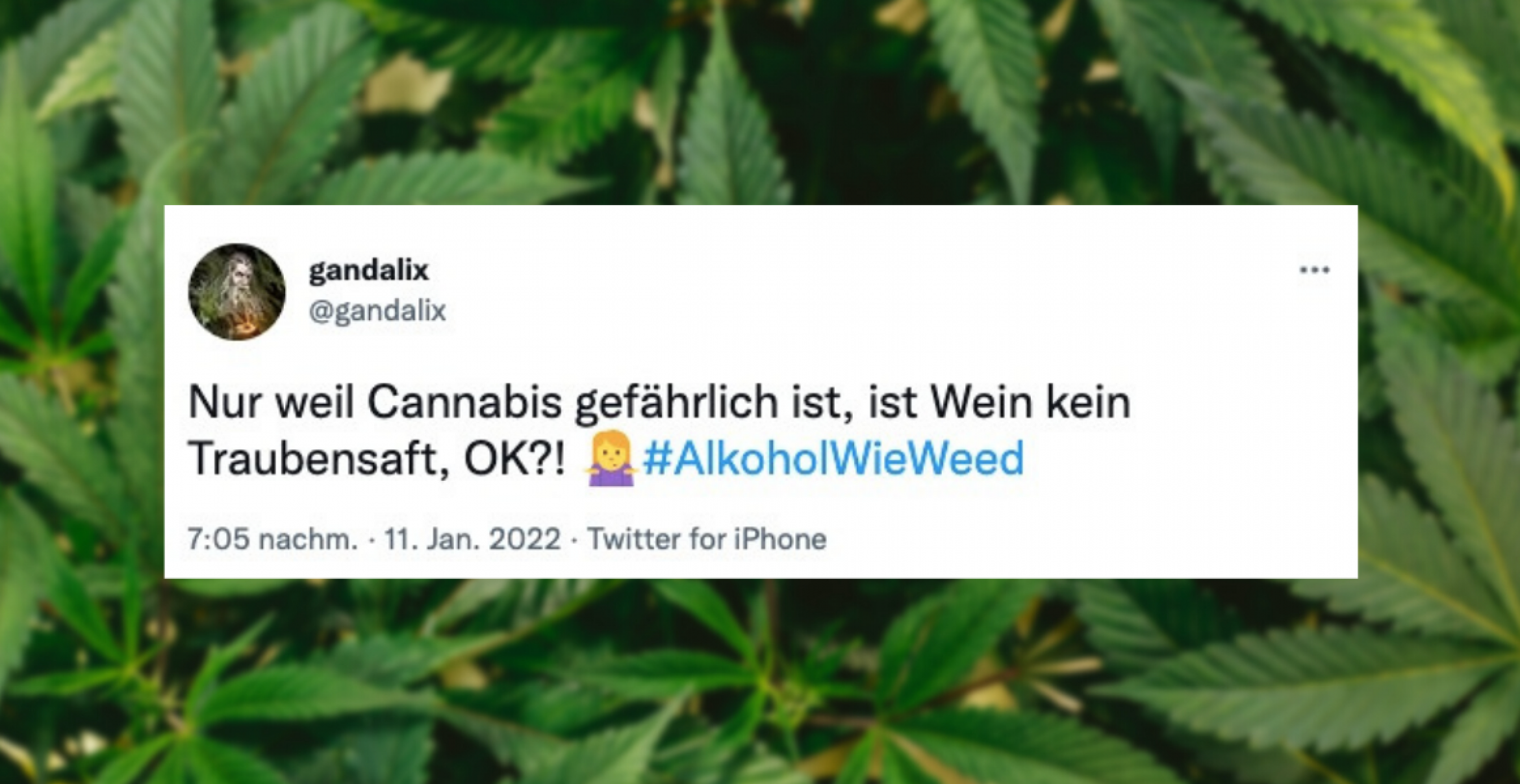 Weed legal, Alkohol illegal? Zehn Tweets, wie die Welt aussehen könnte