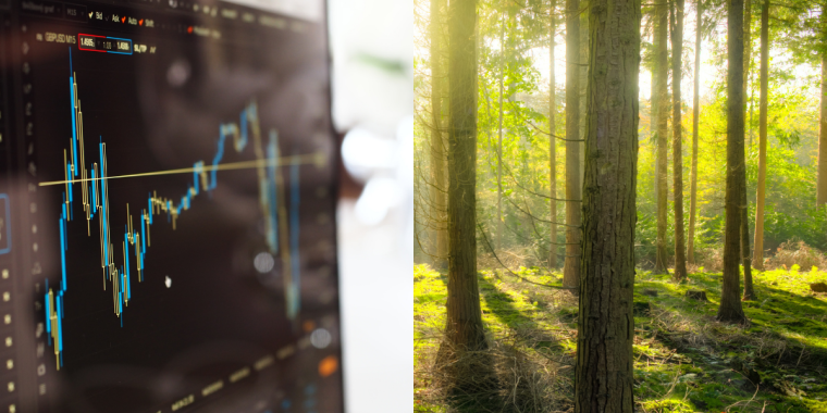 Interview: „Das Interesse an der Börse passiert über den Wald“