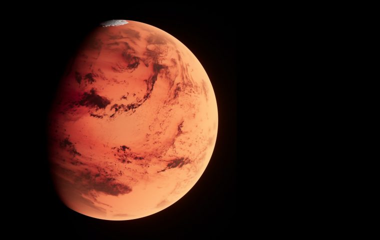 Marsrover Curiosity schickt Bilder an die Erde von „Blumen“