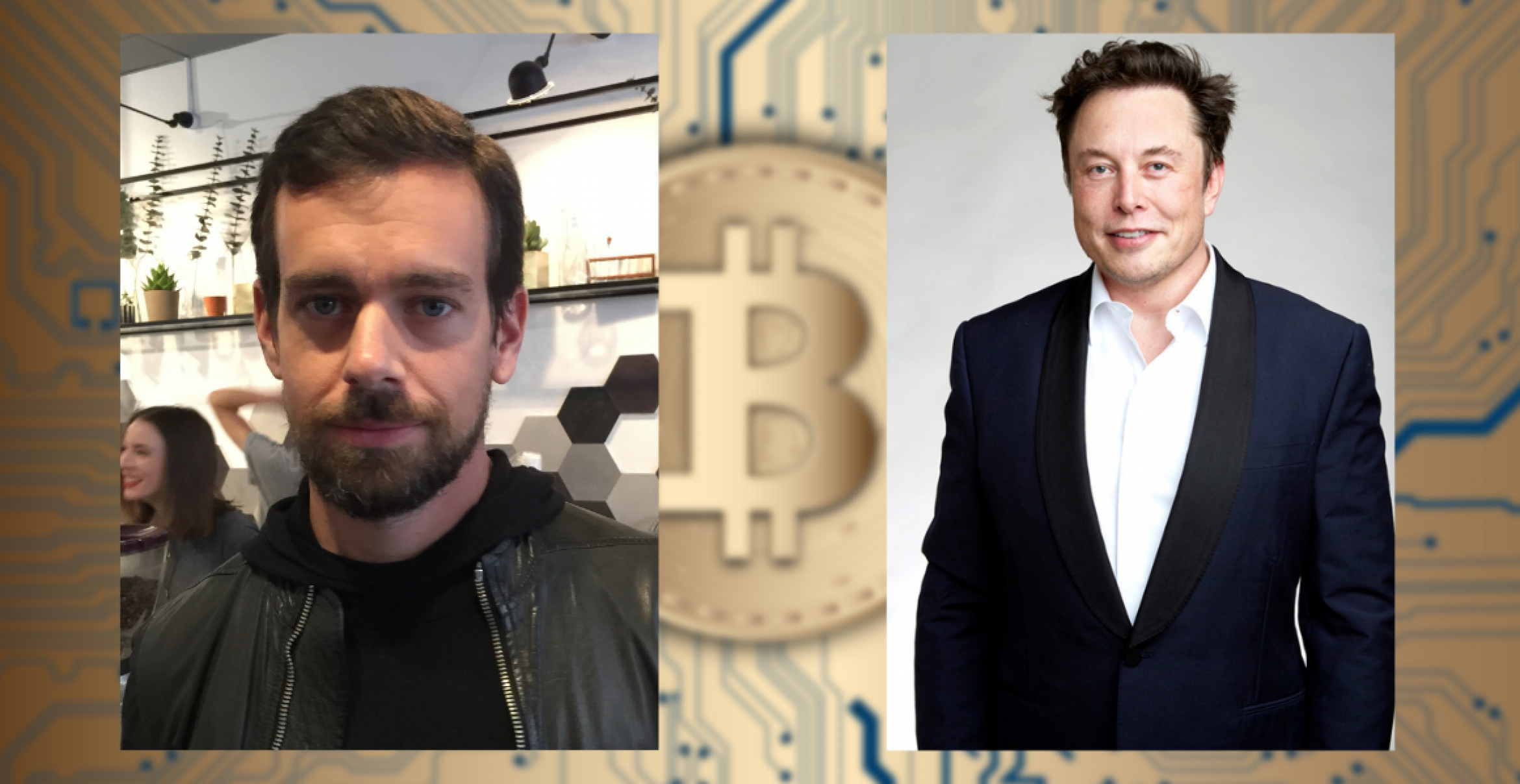 Elon Musk und Jack Dorsey starten Bitcoin-Farm, die mit Solarenergie läuft