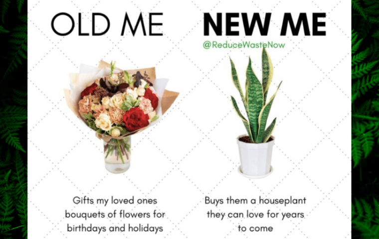 Mit diesen einfachen Tipps lässt sich Müll im Alltag vermeiden