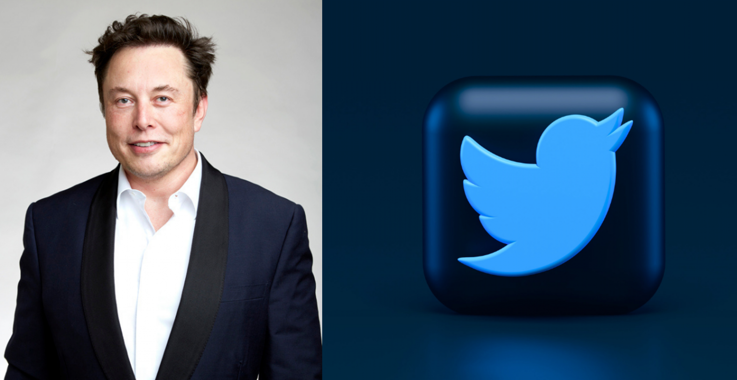 Twitter will Elon Musk nun doch Daten über Fake-Accounts liefern