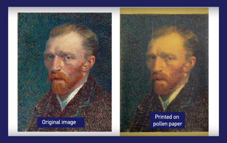 Dieses Papier aus Sonnenblumenpollen kann jede:r selbst recyceln