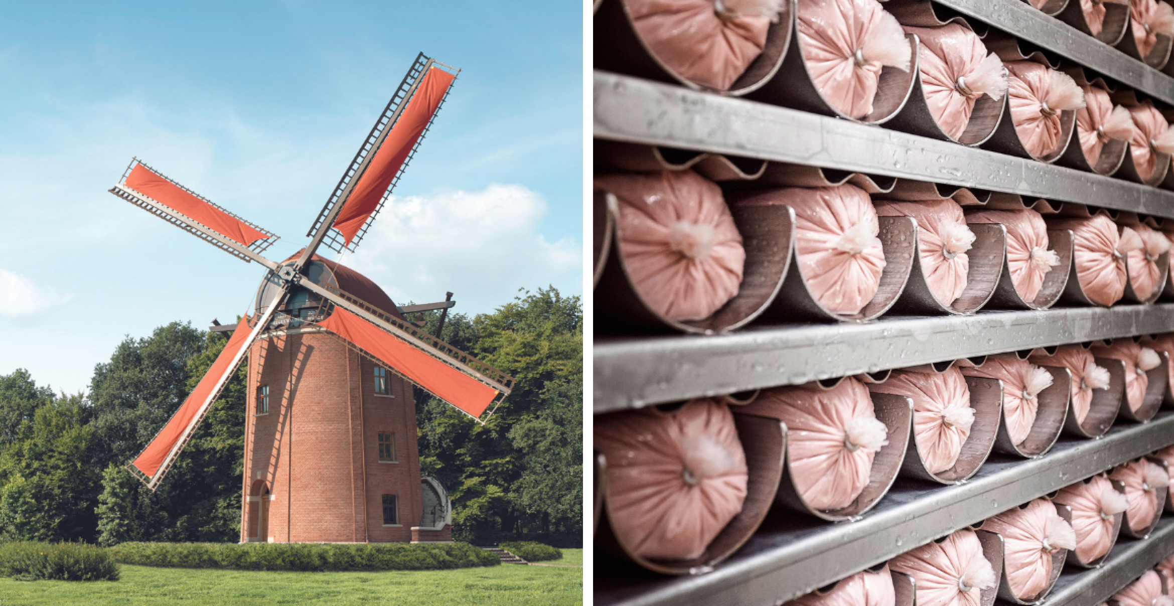 Rügenwalder Mühle verkauft mehr Veggie- als Fleischprodukte