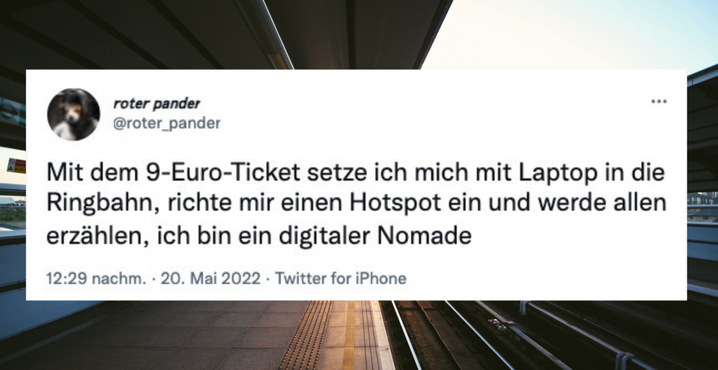 Das 9-Euro-Ticket kommt: zehn Reaktionen zur Abfahrt ins Wochenende