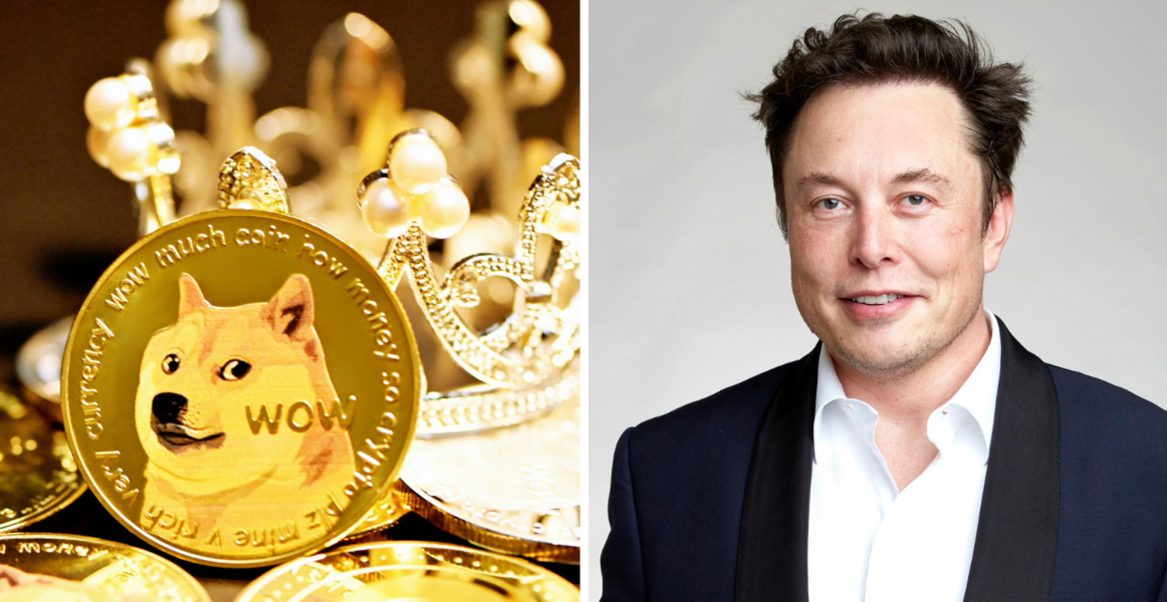 Kryptoinvestor verklagt Elon Musk wegen angeblichem Dogecoin-Betrug