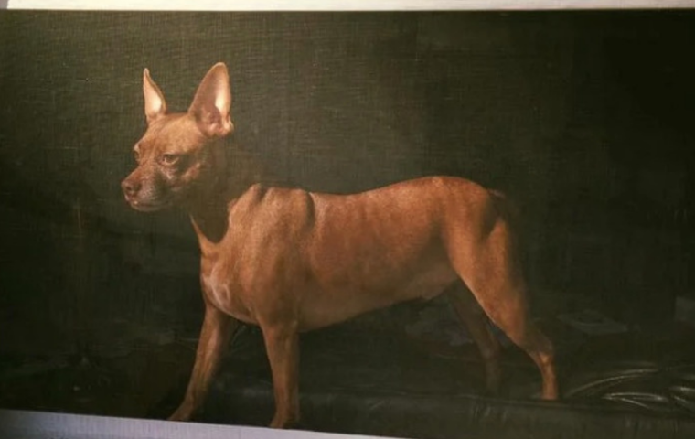 Zehn Fotos, die unseren Augen einen optischen Streich spielen