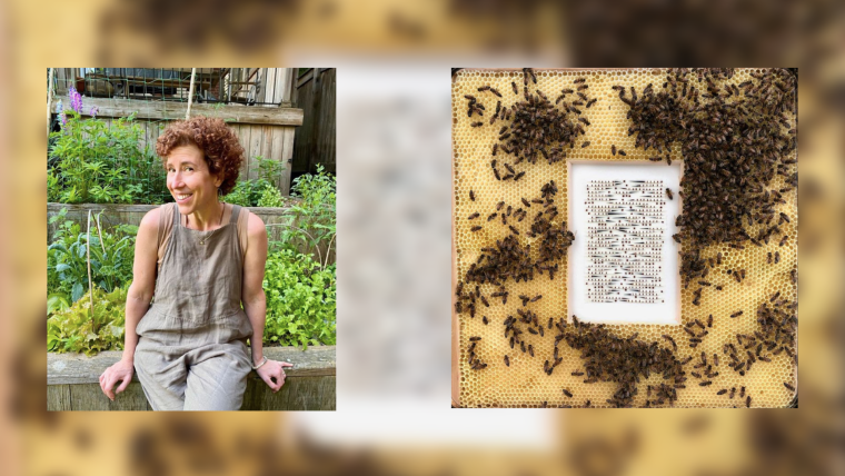 Bienenwachs & Rosshaar: Diese Künstlerin arbeitet mit Produkten aus der Natur