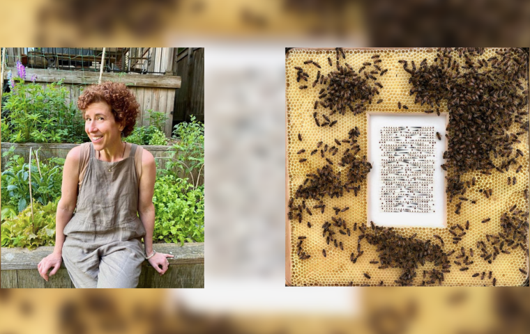 Bienenwachs & Rosshaar: Diese Künstlerin arbeitet mit Produkten aus der Natur