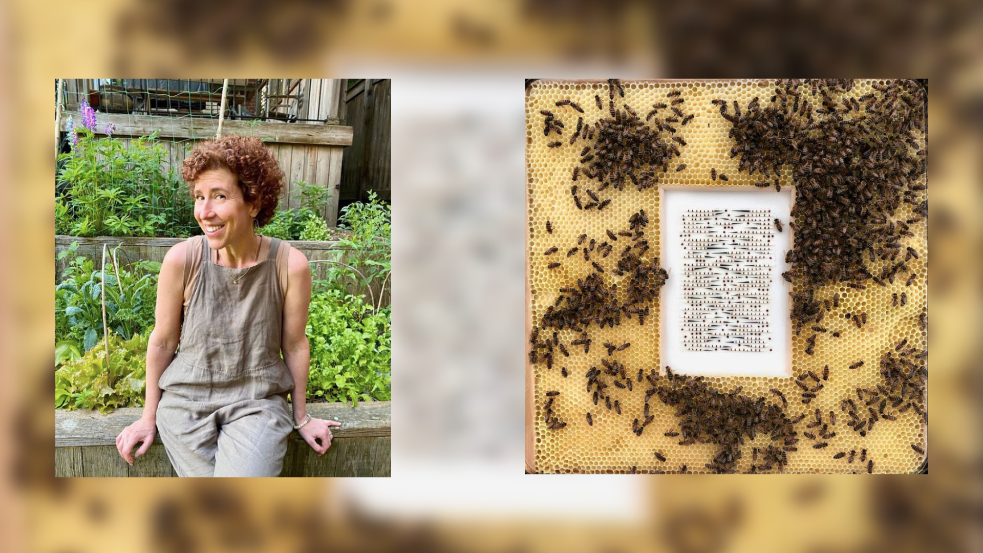 Bienenwachs & Rosshaar: Diese Künstlerin arbeitet mit Produkten aus der Natur