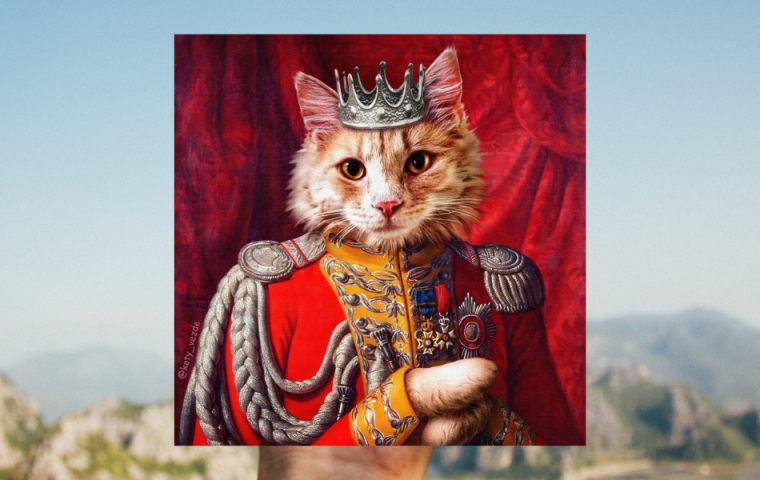 10 Bilder aus einer Welt, in der Katzen das Sagen haben